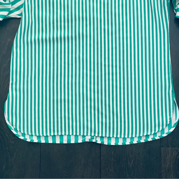 Ellen Tracy Striped White and Green Oversized Button Down Shirt - Picture 10 of 11